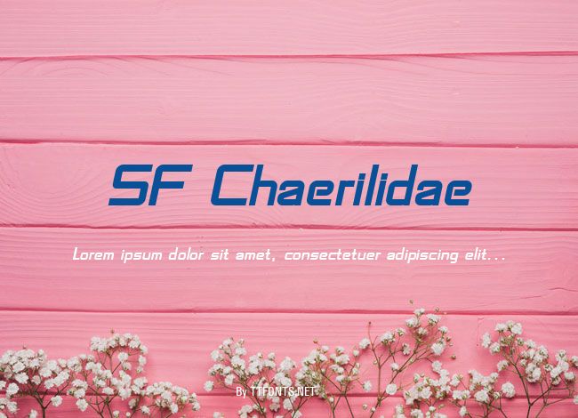 SF Chaerilidae example